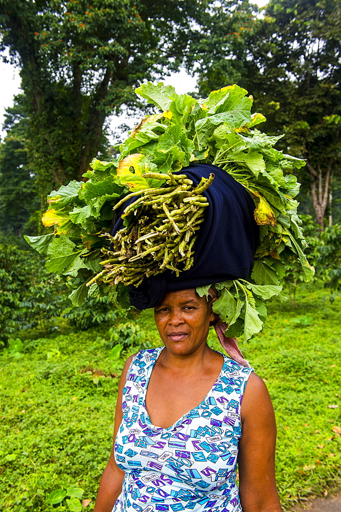 Woman carries a huge stack of vegetables on her head, Sao Tome, Sao Tome and Principe, Atlantic Ocean, Africa