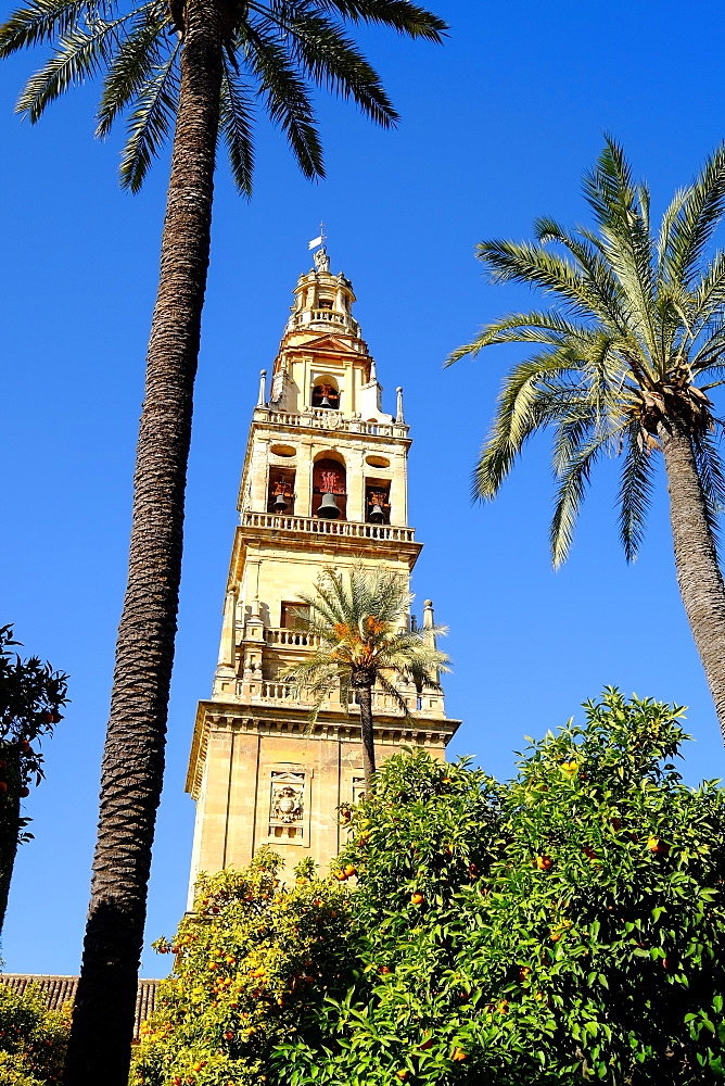 Patio de los Naranjos, Mezquita Cathedral, UNESCO World Heritage Site, Cordoba, Andalucia, Spain, Europe