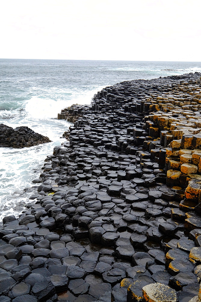 Giant's Causeway, UNESCO World Heritage Site, Bushmills, County Antrim, on the north coast of Northern Ireland, Ulster, Northern Ireland, United Kingdom, Europe