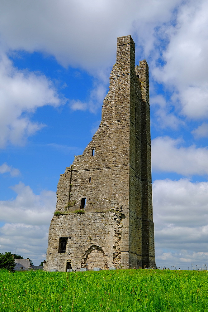 Yellow Steeple, the ruin of the St. Mary's Abbey bell tower, Trim, County Meath, Leinster, Republic of Ireland, Europe