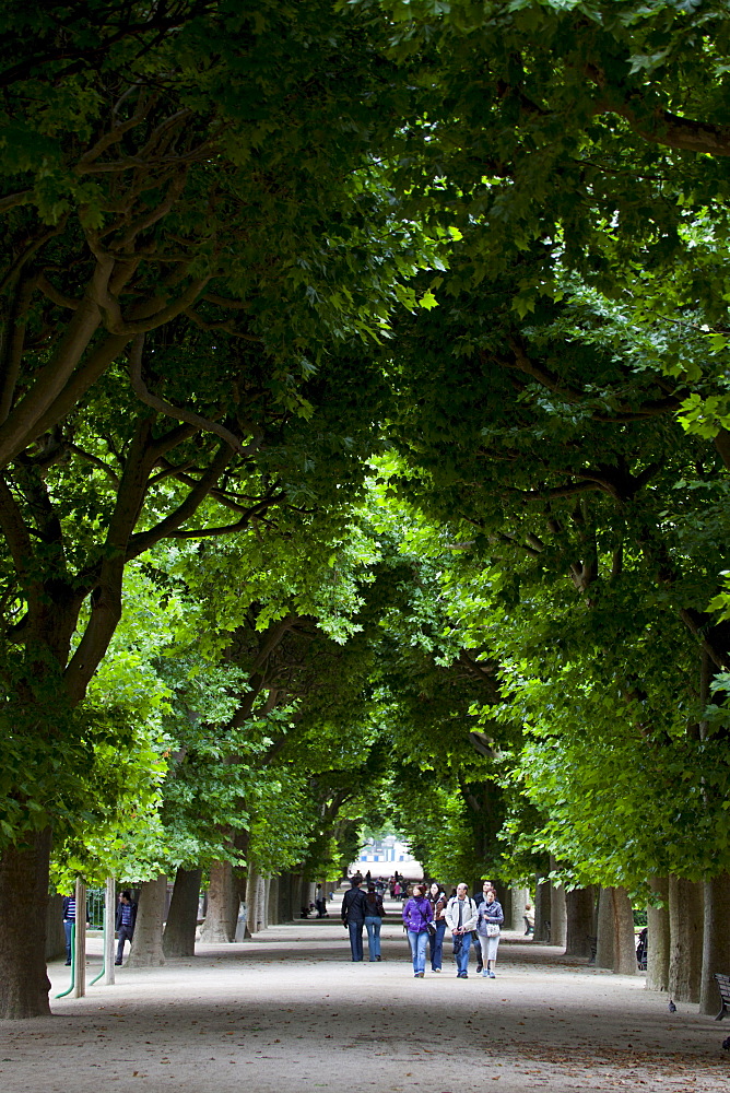 Jardin des Plantes, Paris, France, Europe