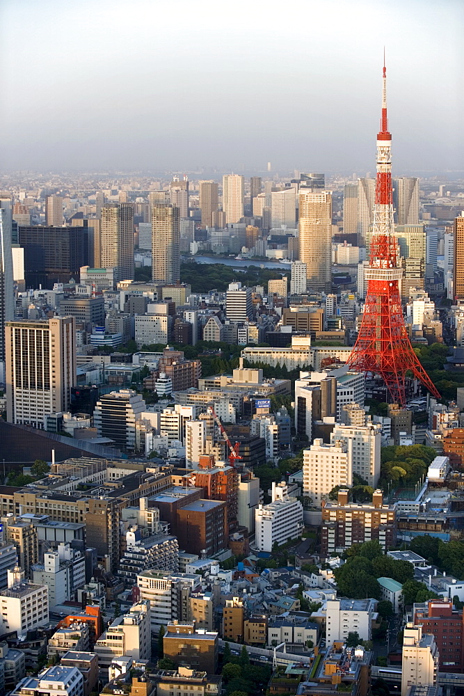 Aerial view of metropolitan Tokyo and Tokyo Tower from atop the Mori Tower at Roppongi Hills, Tokyo, Japan, Asia