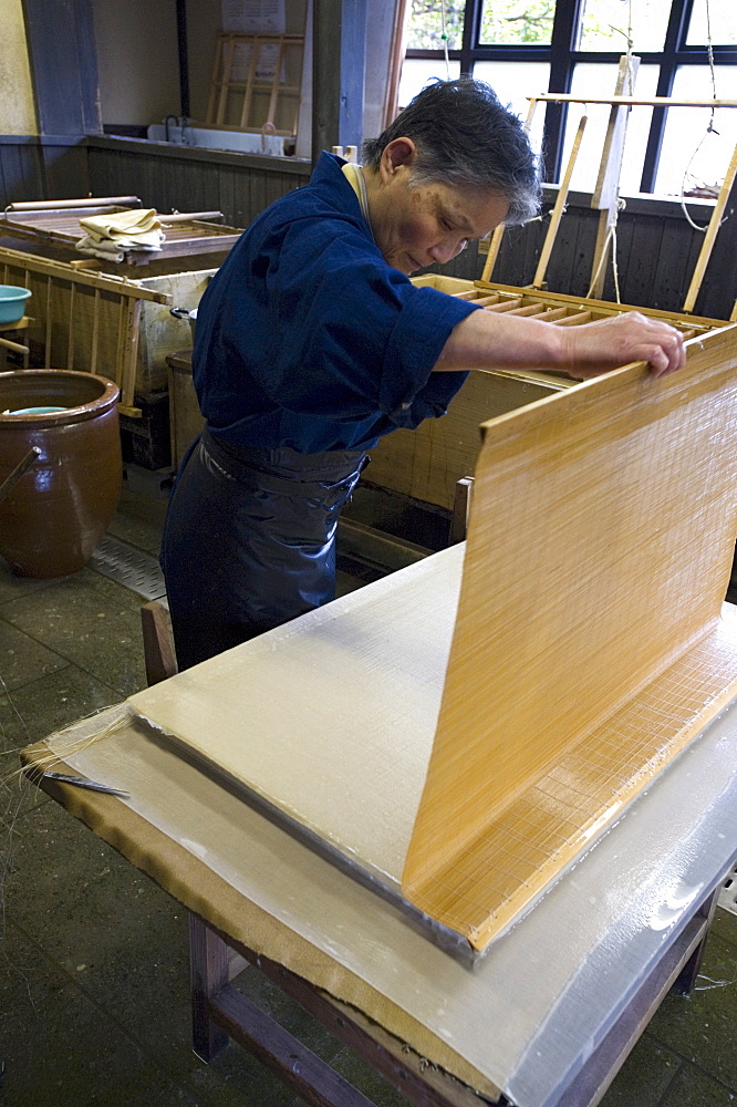 Making traditional Japanese washi paper at Echizen Washi No Sato village in Fukui, Japan, Asia