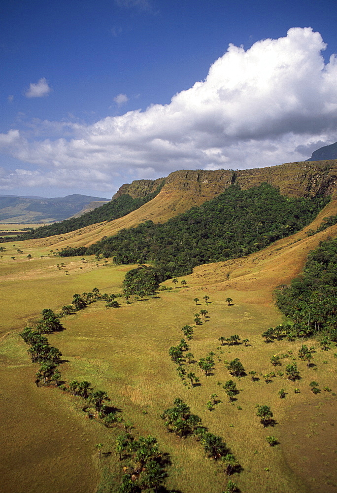 Aerial image of tepuis showing Mount Auyantepui (Auyantepuy) (Devil's Mountain), Venezuela, South America