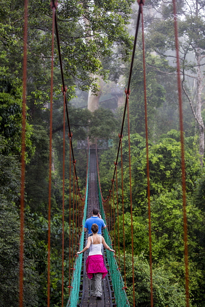 Tourists on the canopy walkway in Danum Valley, Sabah, Malaysian Borneo, Malaysia, Southeast Asia, Asia 