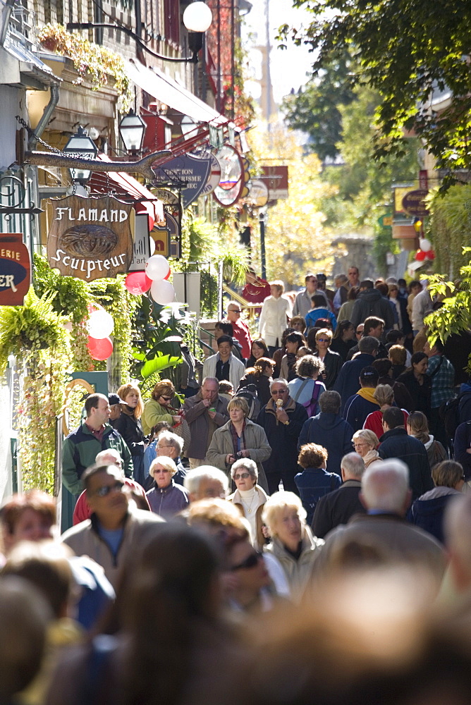 Crowds walking down street in the Lower town, Old Quebec, Quebec City, Quebec, Canada, North America