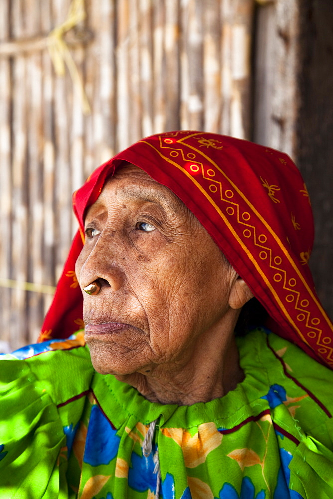 Kuna woman with gold nose ring, San Blas Islands, Panama, Central America