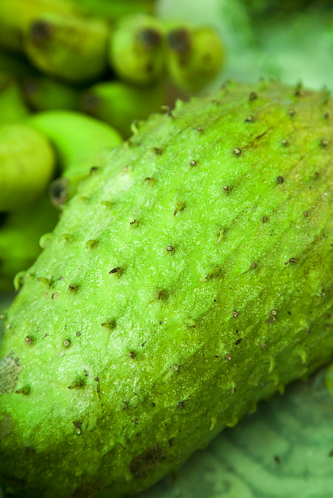 Soursop (Annona muricata), a fruit grown in the Caribbean, Central America