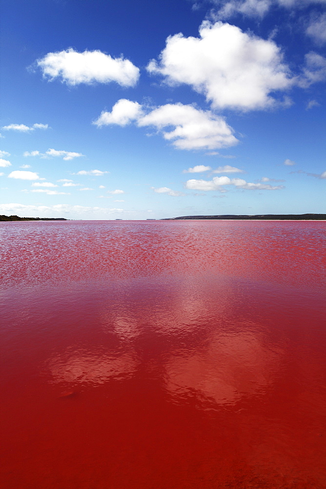 Edible algae provides a pink hue to the Hutt Pink Lagoon, Port Gregory, Western Australia, Australia, Pacific