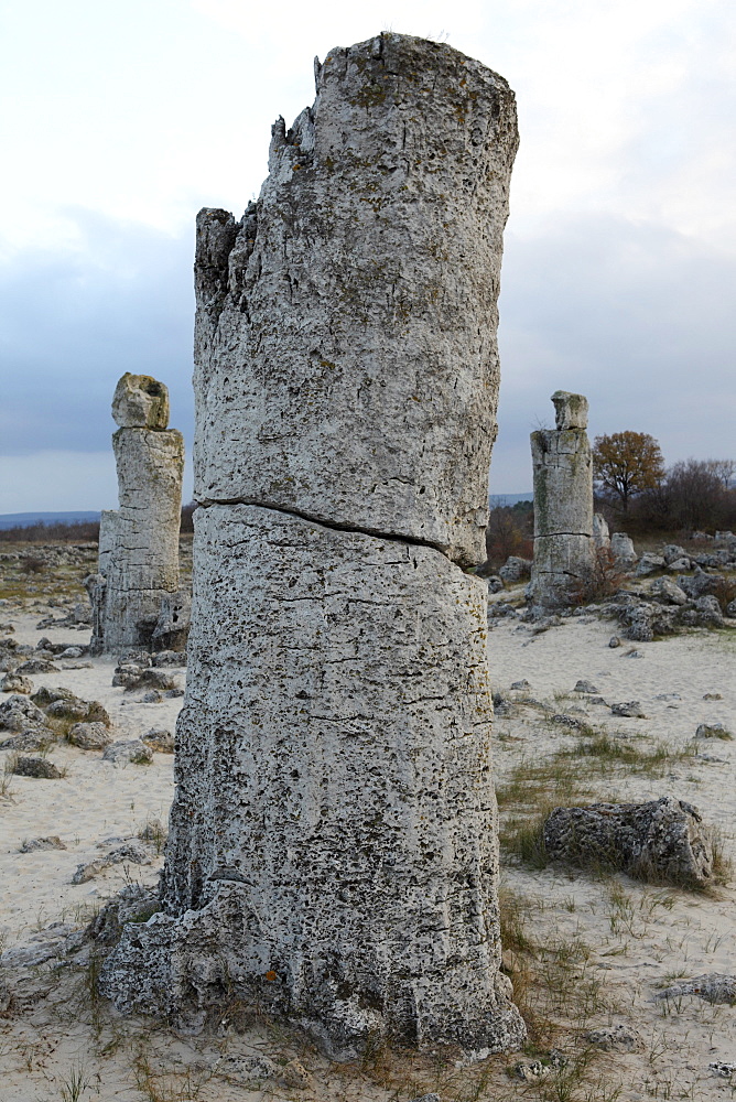 Rock formation at the 50 million year old Stone Forest (Pobiti Kamani), protected national monument, in Varna Province, Bulgaria, Europe