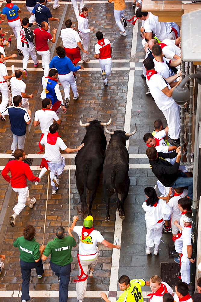 Running of the bulls, San Fermin festival, Pamplona, Navarra (Navarre), Spain, Europe