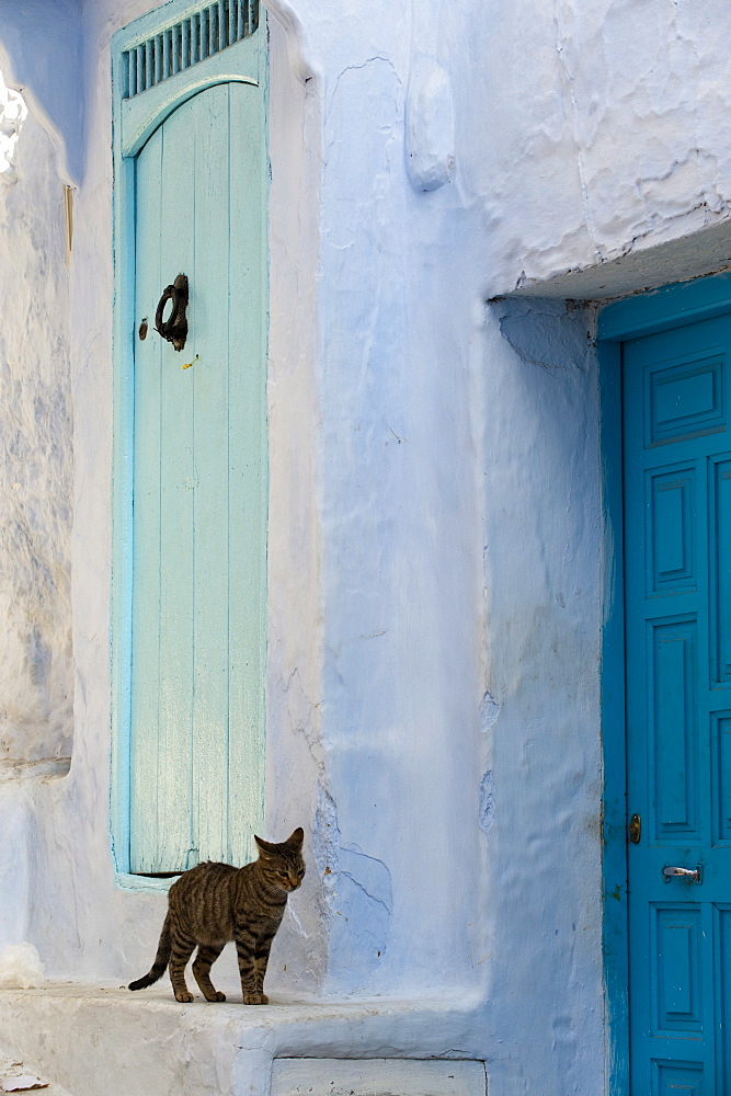 Typical houses, Chefchaouen, Morocco, North Africa, Africa