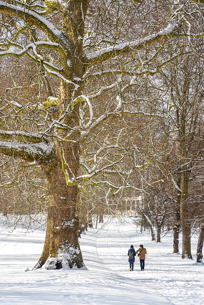 Green Park in the snow, London, England, United Kingdom, Europe