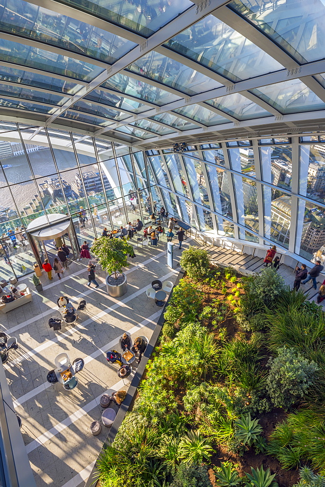 The Sky Garden at the Walkie Talkie (20 Fenchurch Street), City of London, London, England, United Kingdom, Europe