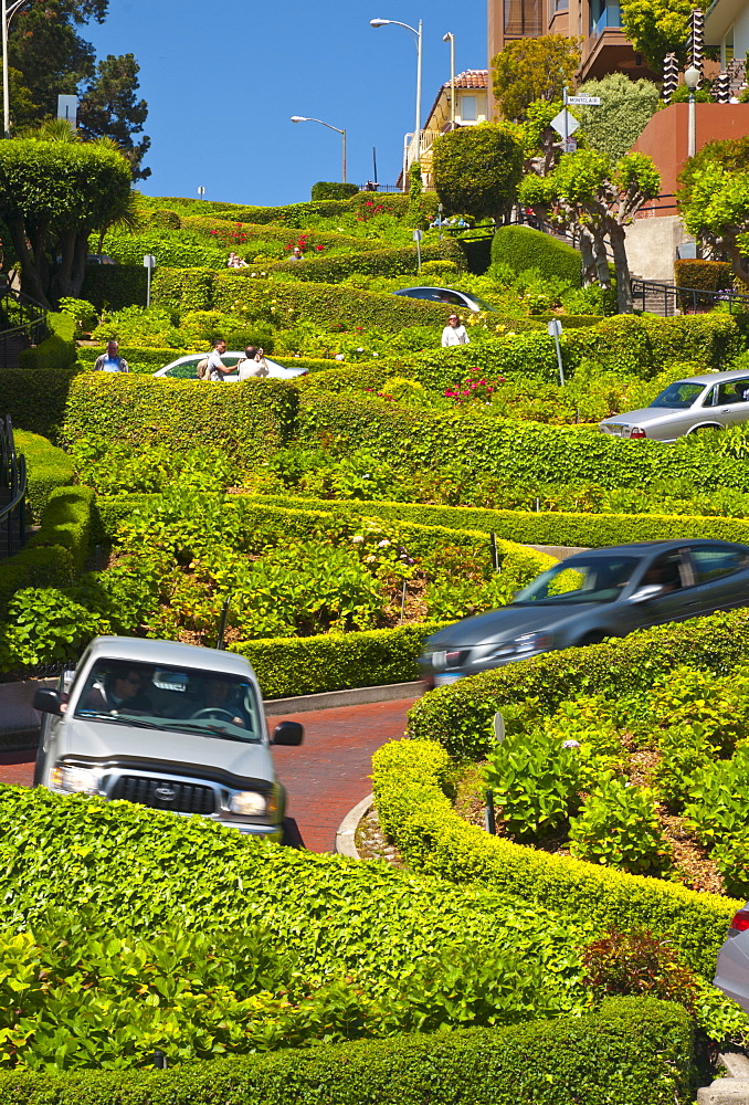 Lombard Street, the Crookedest street in the world, San Francisco, California, United States of America, North America