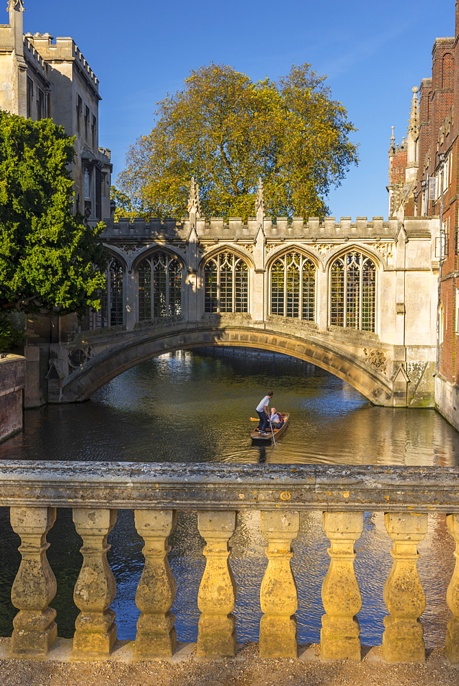 Punting on River Cam, St. John's College, Bridge of Sighs, Cambridge, Cambridgeshire, England, United Kingdom, Europe