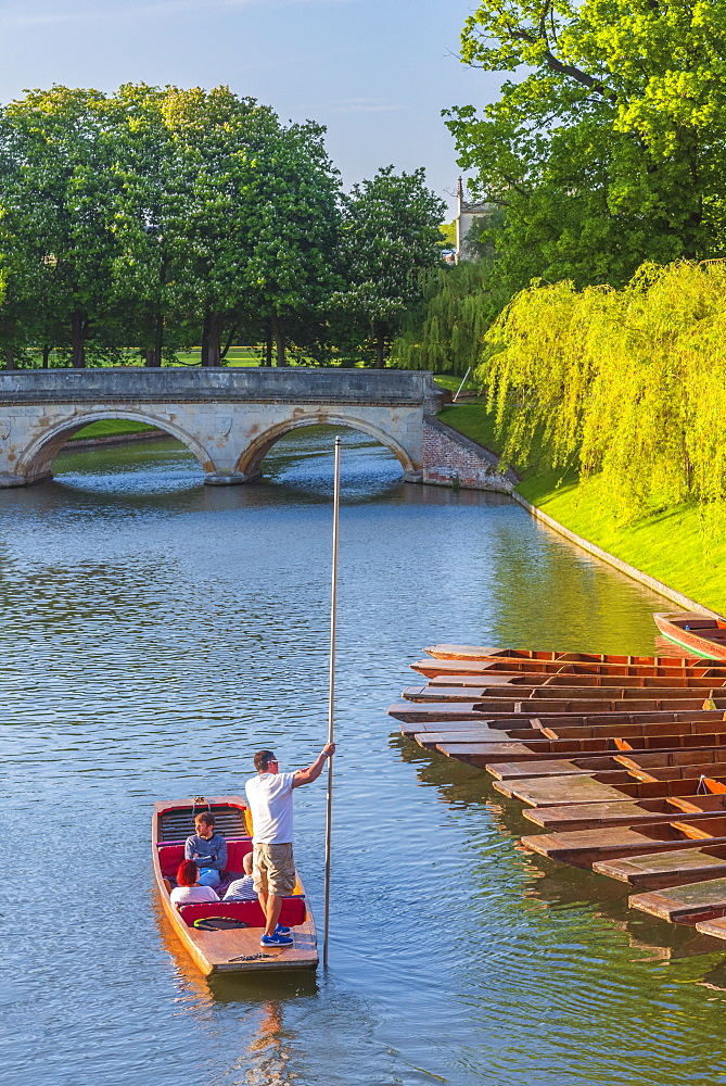 Punts, The Backs, Trinity College, Trinity Bridge over River Cam, Cambridge, Cambridgeshire, England, United Kingdom, Europe