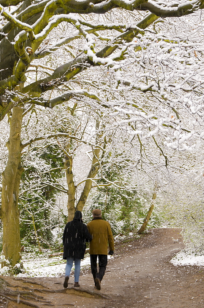 Hampstead Heath in the snow, London, England, United Kingdom, Europe