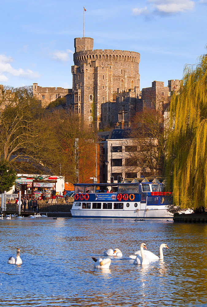 Windsor Castle and River Thames, Windsor, Berkshire, England, United Kingdom, Europe