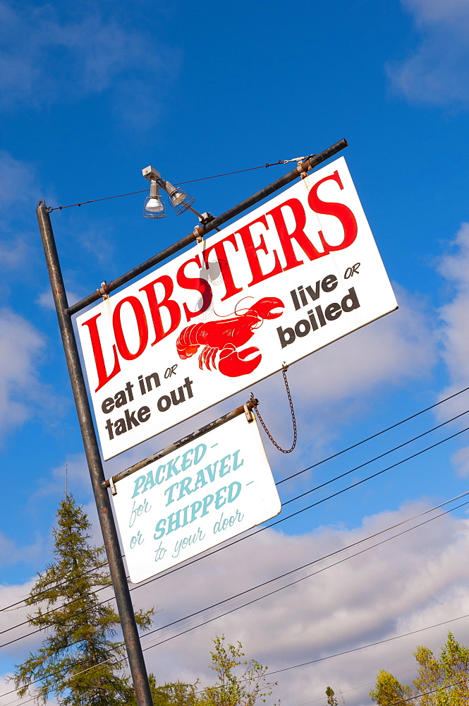 Sea food for sale signs, Mount Desert Island, Maine, New England, United States of America, North America