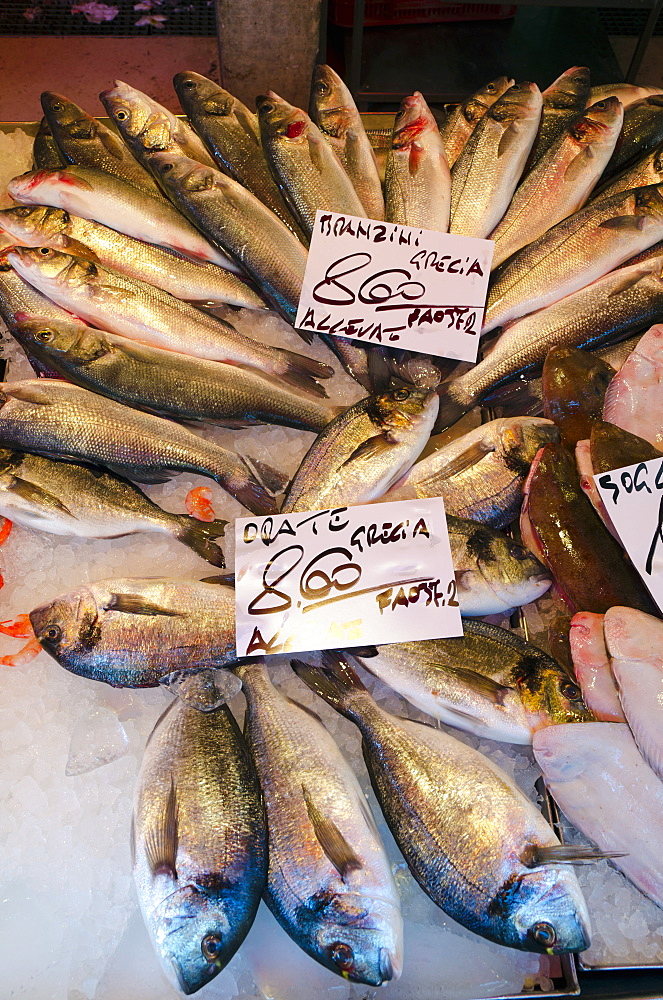 Fish market, Rialto, Venice, Veneto, Italy, Europe