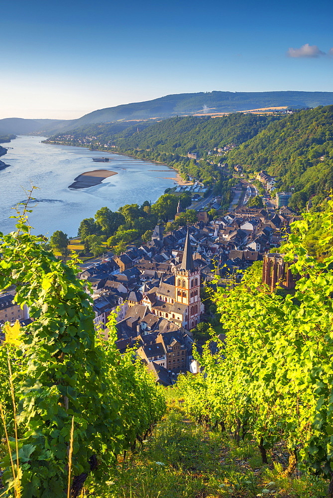 Church of St. Peter (Sankt Peter) (Peterskirche), Bacharach on the River Rhine, Rhineland Palatinate, Germany, Europe