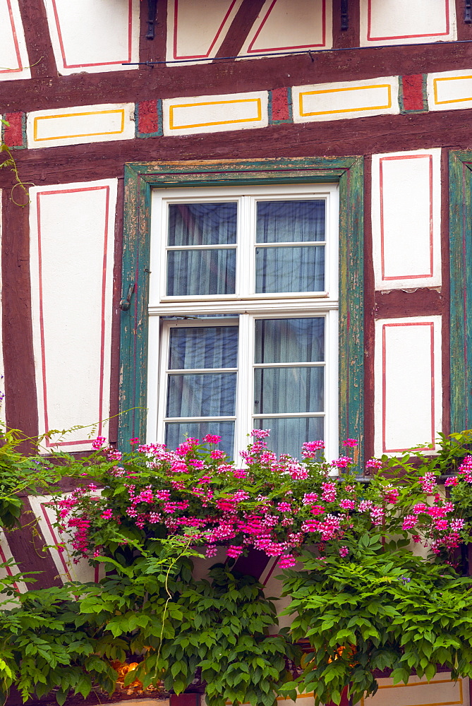 Bacharach, Rhineland Palatinate, Germany, Europe