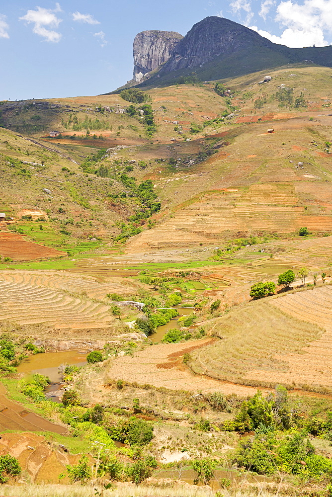 Landscape of rice paddies in the environs of Andringitra National Park in southern Madagascar, Madagascar, Africa