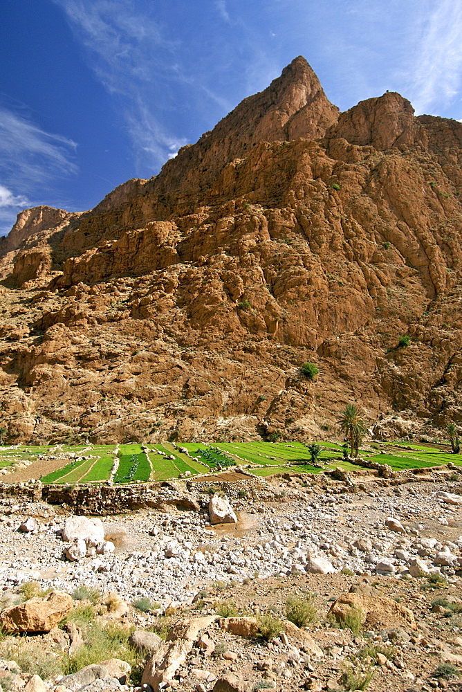 Plantations and dry river bed in the Todra Gorge near Tinehir in the High Atlas mountains of Morocco