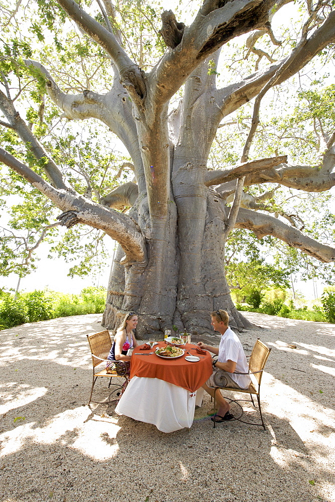 Lunch under the giant baobab tree at Matemo lodge in the Quirimbas archipelago in Mozambique, Africa