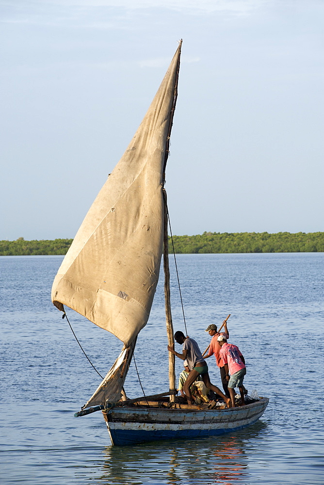 Dhow sailing in the Quirimbas archipelago off the coast of northern Mozambique, Indian Ocean, Africa