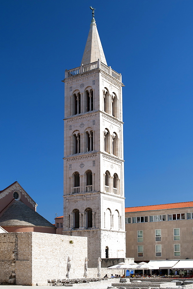 The bell tower of the Cathedral of St. Anastasia, Zadar, Adriatic coast, Croatia, Europe