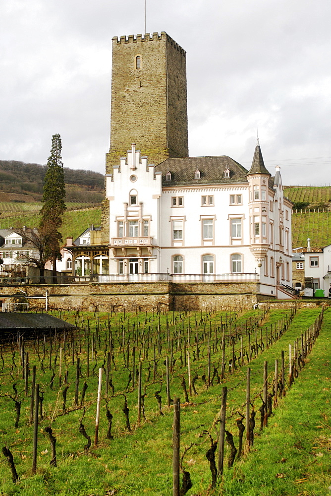 Schloss Boosenburg castle in Rudesheim am Rhine, Hessen, Germany, Europe