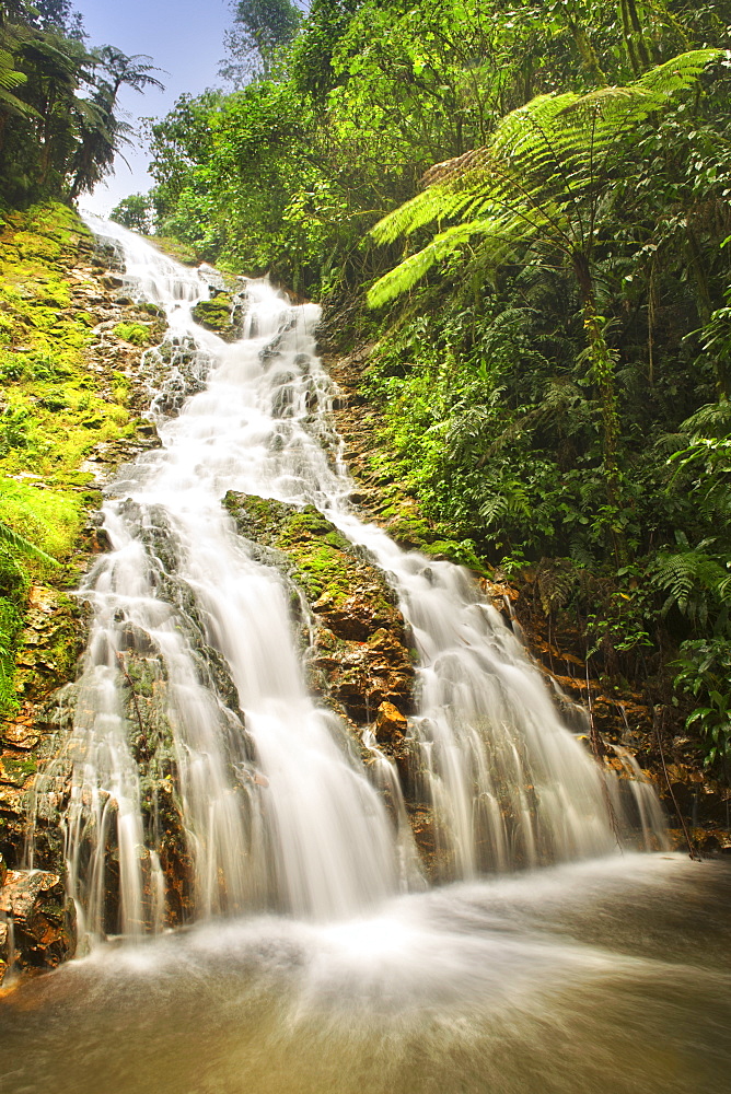 Waterfall in the rainforests of Bwindi Impenetrable National Park in southern Uganda.