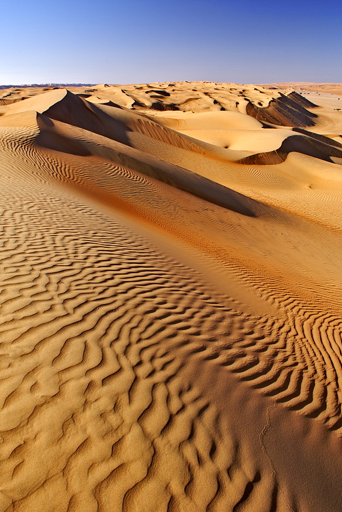 The dunes of Wahiba Sands (Ramlat al Wahaybah) in Oman.