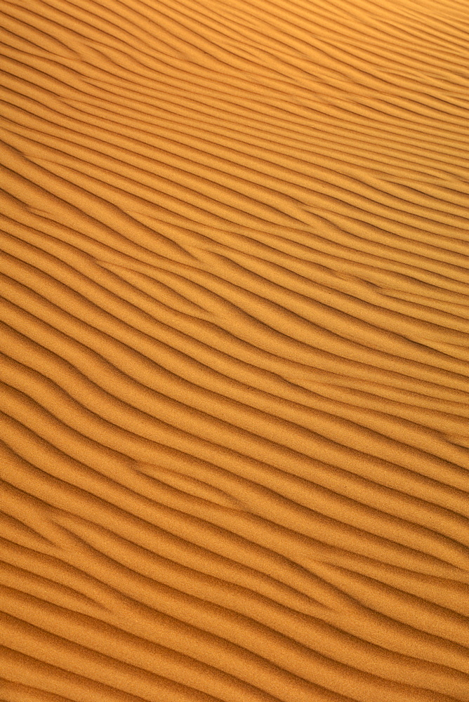 Patterns in the sand in Wahiba Sands (Ramlat al Wahaybah) in Oman.