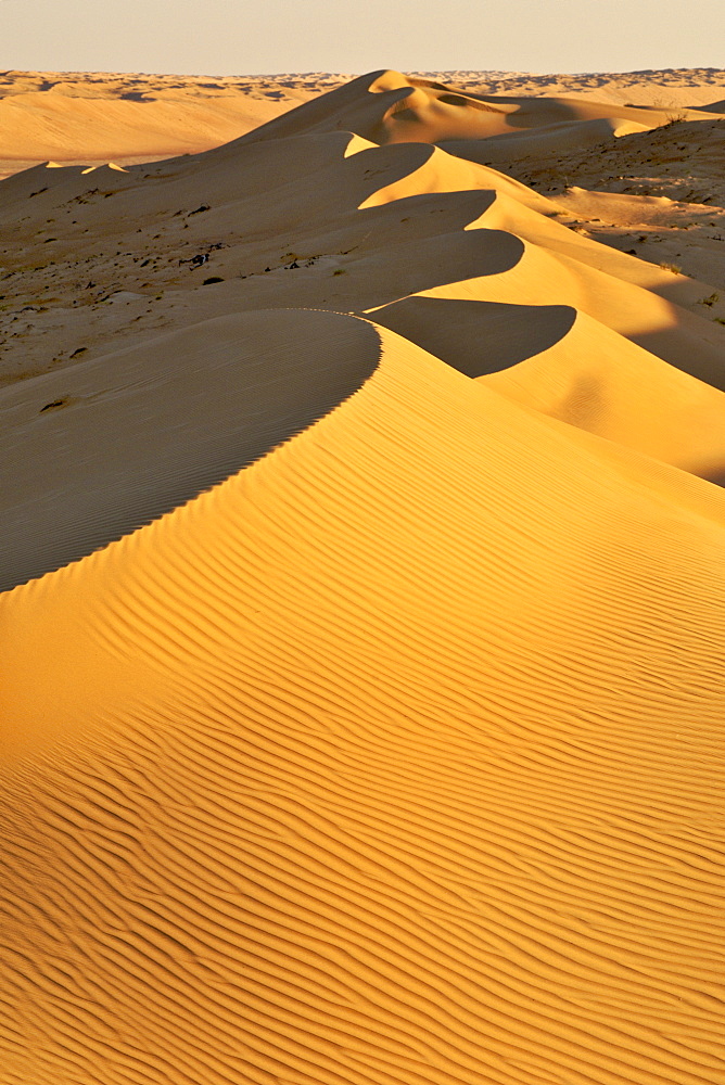 View across Wahiba Sands (Ramlat al Wahaybah) in Oman.