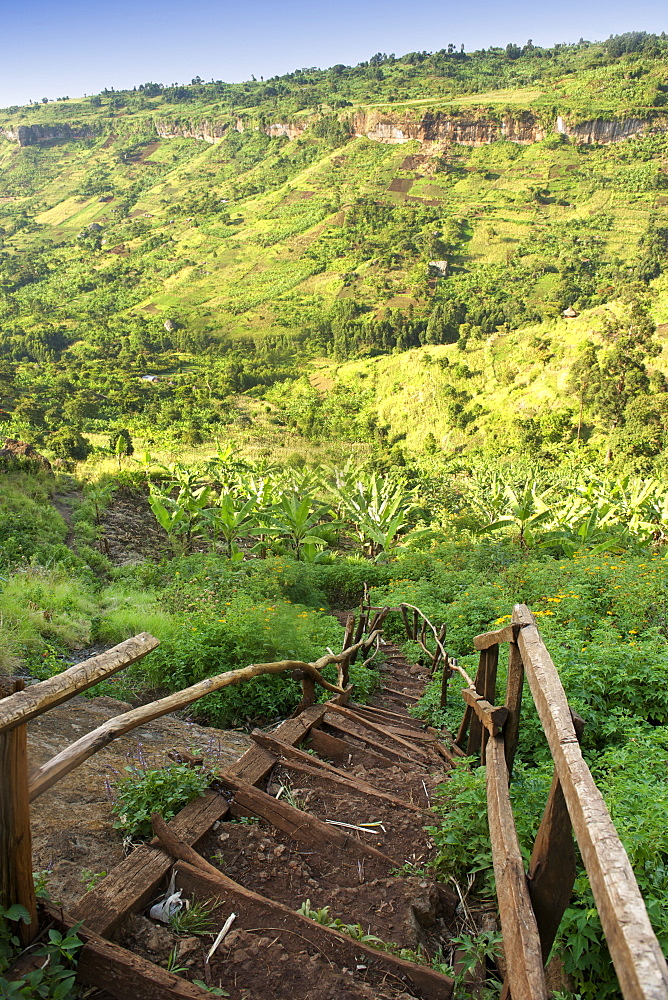 View of a staircase and surrounding scenery near Sipi Falls on the slopes of Mount Elgon in eastern Uganda.