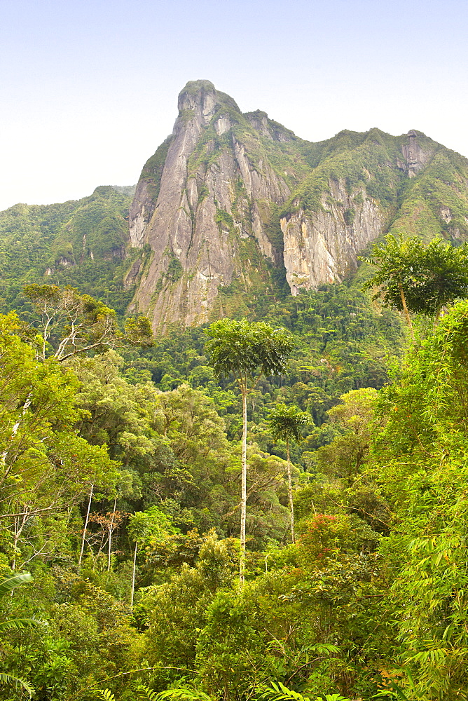 View of Ambatotsondrona (Leaning Rock) and surrounding rainforest as seen from Camp Marojejia (Camp Two) in Marojejy National Park in northeast Madagascar, Madagascar, Africa