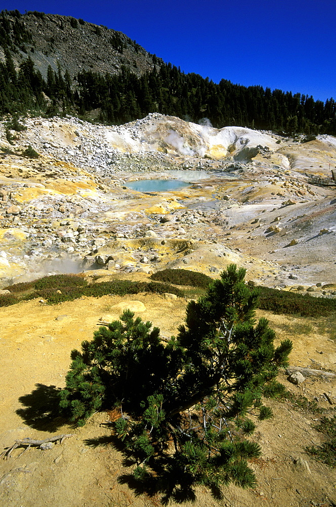 Sulphur deposits at 'Bumpass Hell', the largest area of mudpots and steam vents at this national park around Lassen Peak volcano, Lassen volcanic national park, California, Usa