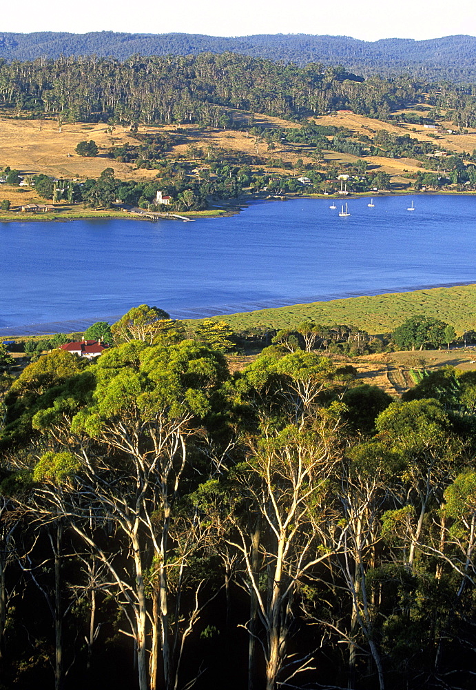 Looking from Brady's Lookout State Reserve across the Tamar River towards Windermere in the state's premier wine region, Tamar Valley, the north, Tasmania, Australia, Pacific