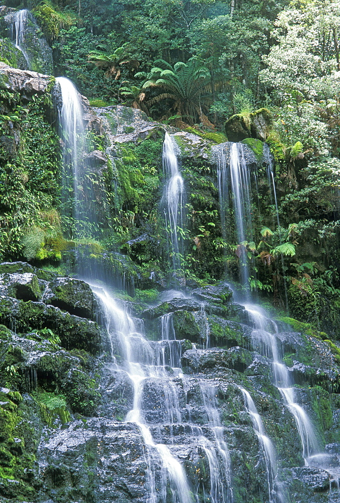 Russell Falls, the most popular attraction in Mount Field National Park, the south, Tasmania, Australia, Pacific