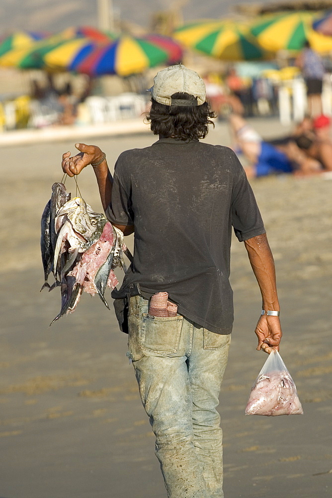 Man with fish on the beach at this popular surfing resort in the far north near the Ecuadorean border, Mancora, Peru, South America


