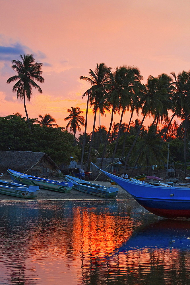 Boats and palm trees at sunset at this fishing beach and popular tourist surf spot, Arugam Bay, Eastern Province, Sri Lanka, Asia