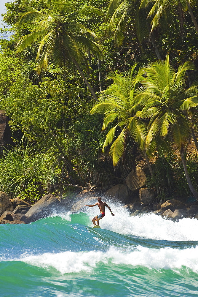 Surfer riding a wave in the western corner of the south coast beach at Mirissa, near Matara, Southern Province, Sri Lanka, Asia