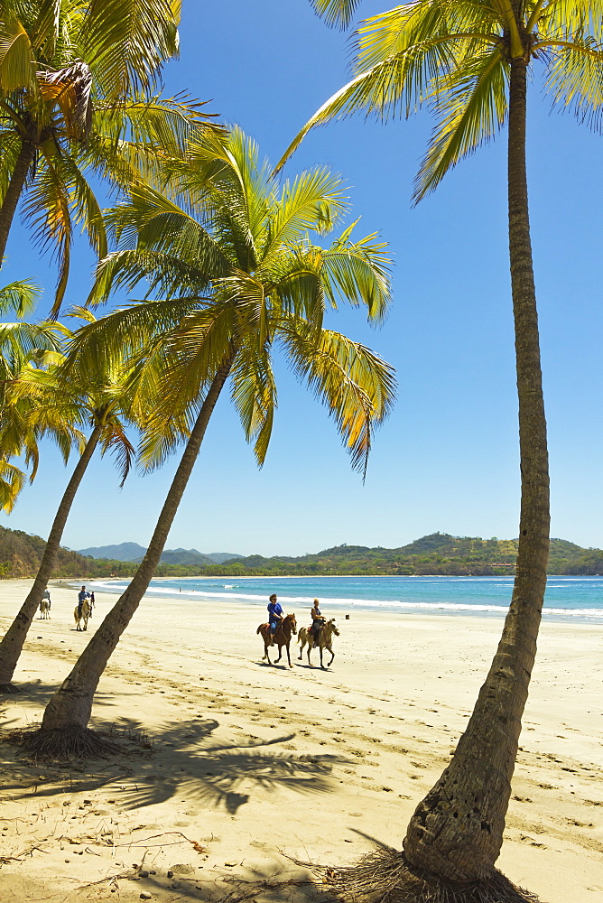 Horse riders on beautiful palm fringed Playa Carrillo, Carrillo, near Samara, Guanacaste Province, Nicoya Peninsula, Costa Rica, Central America