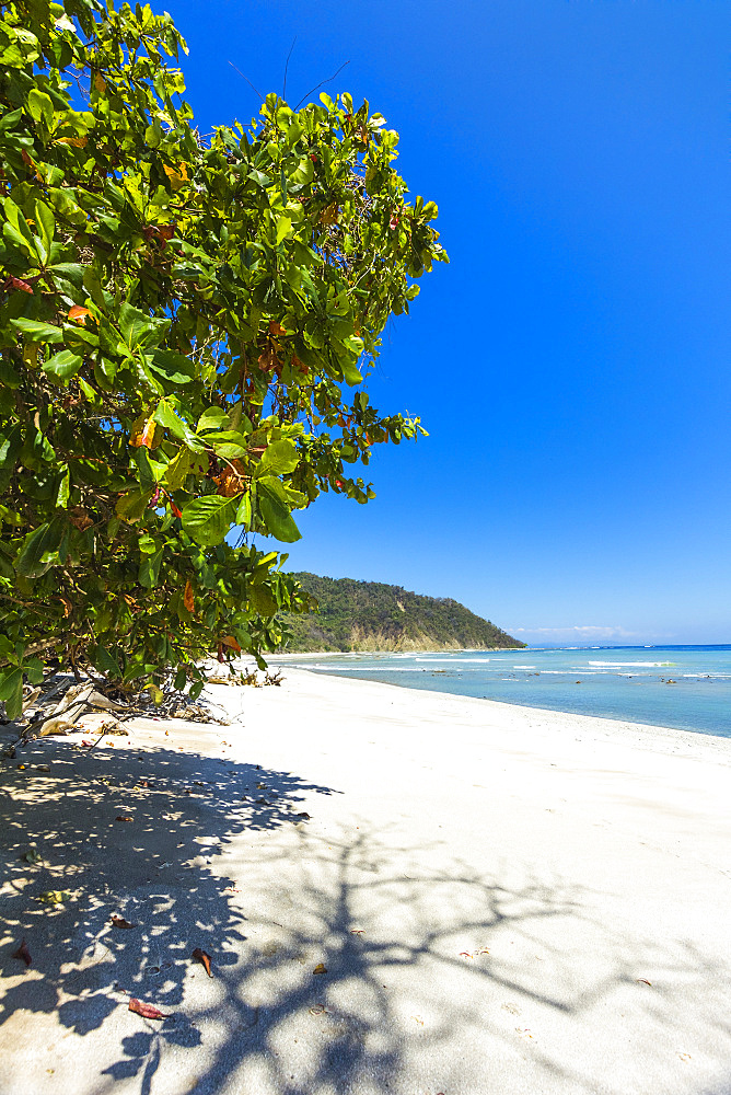 Cabo Blanco nature reserve and beach at the far southern tip of Nicoya Peninsula, Cabo Blanco, Mal Pais, Puntarenas, Costa Rica, Central America