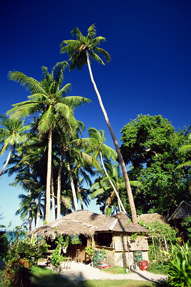 Palm trees and bar on holiday island of Boracay, off the coast of Panay, the Philippines, Southeast Asia, Asia