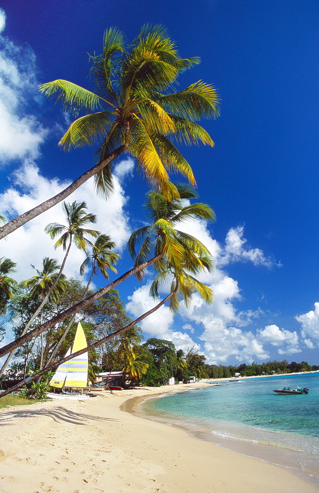 Mullins Beach, St Peters Parish, Barbados, Caribbean