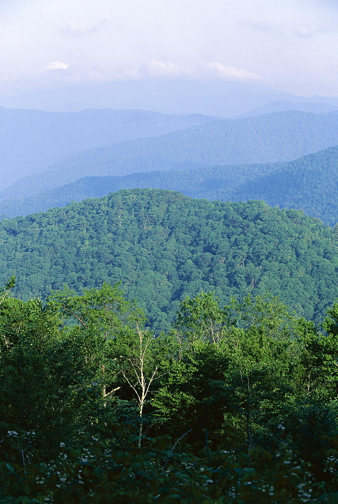 Looking over the Appalachian mountains from the Blue Ridge Parkway in Cherokee Indian Reservation, North Carolina, United States of America (U.S.A.), North America